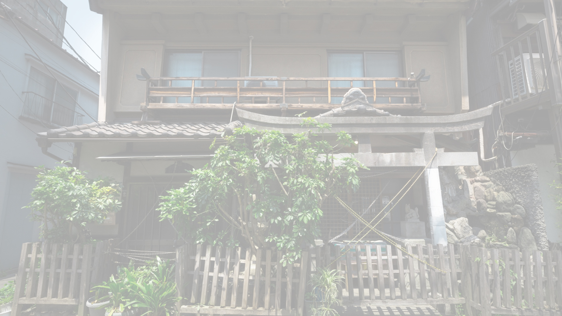 特集